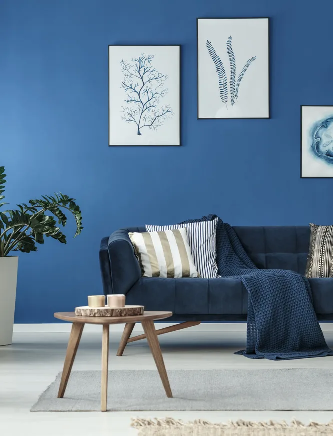choose1
